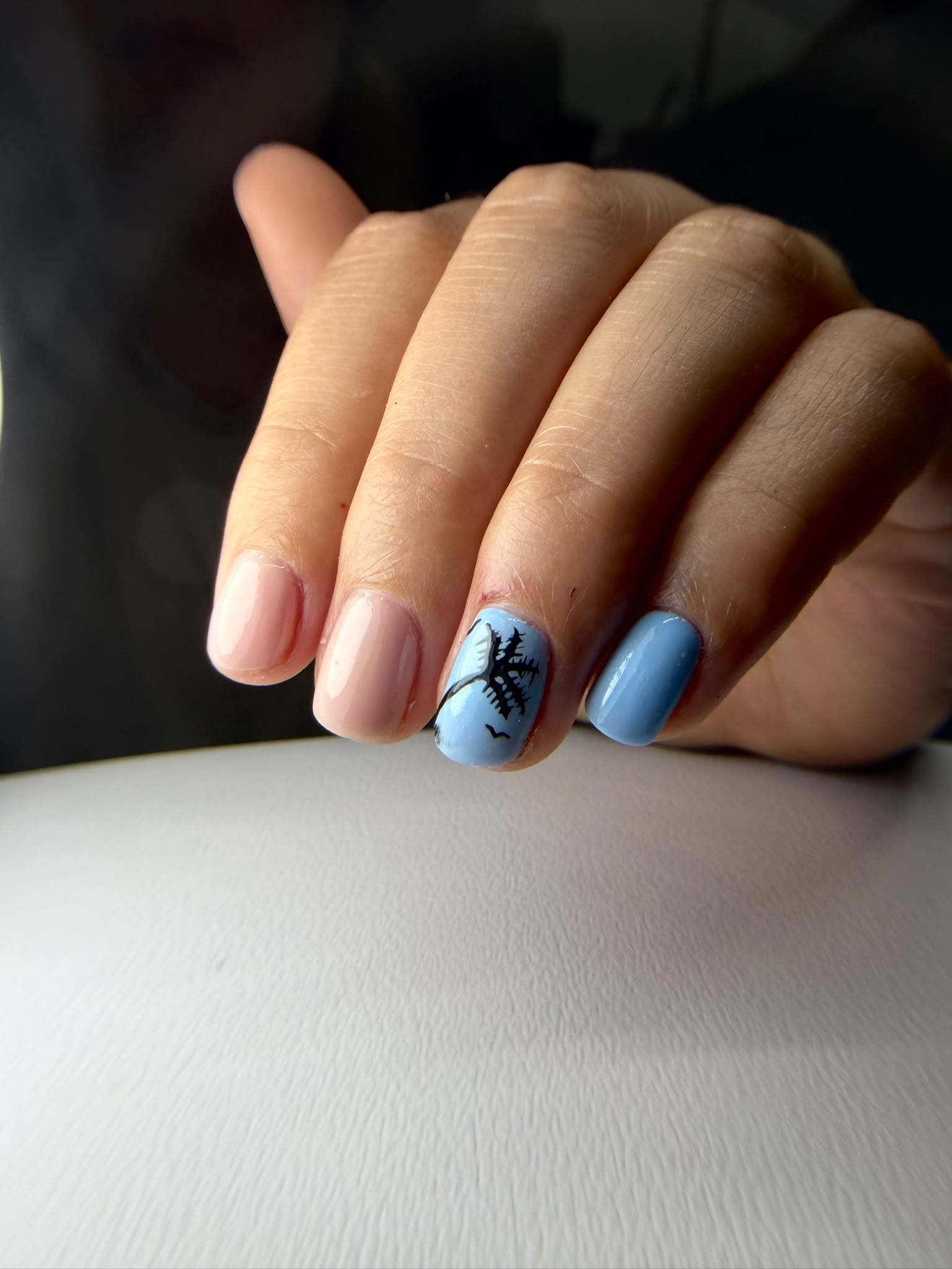 Lush Beauty — resultaat uit de salon